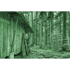 BA Design Build- Cabin in the woods