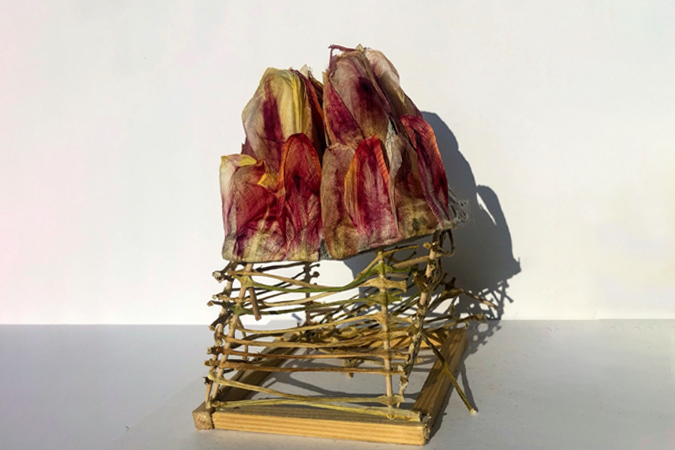Foto des Gewinnermodells in der Kategorie Ästhetik. Vergängliches Modell aus Tulpen.
